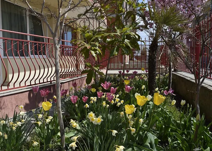 Гостевой дом Jane 3*